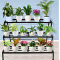 3 Step Plant Stand for Multiple Plants and Pots - photo