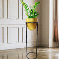 Decorative Indoor Metal Planter Pot with Stand (Set of 1) - photo