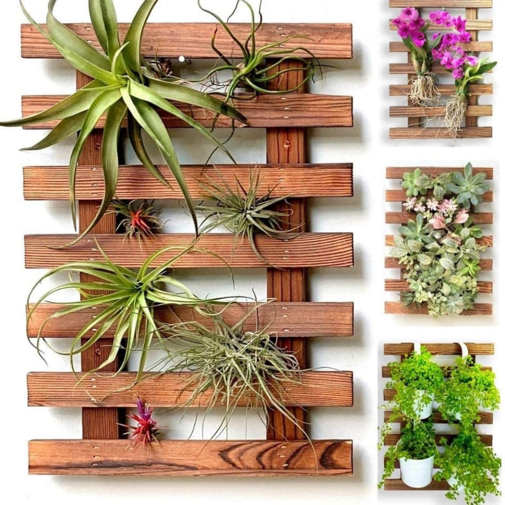 Wooden Hanging Planter - photo