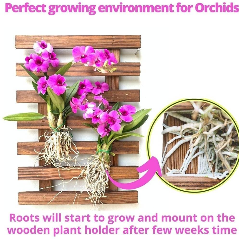 Wooden Hanging Planter