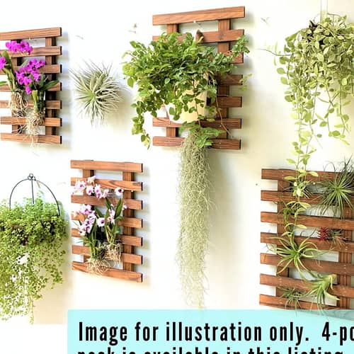 Wooden Hanging Planter (Set of 2)