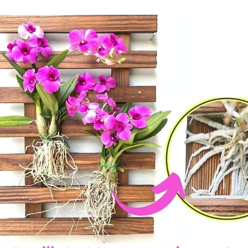 Wooden Hanging Planter (Set of 2) - rear_view