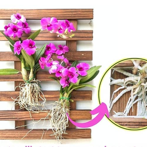 Wooden Hanging Planter (Set of 2)