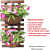 Wooden Hanging Planter 60 CM (Set of 1) - top_view