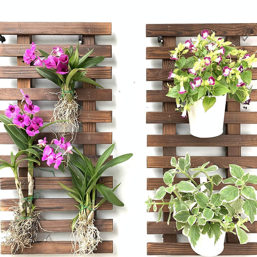 Wooden Hanging Planter 60 CM (Set of 2) - photo