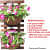 Wooden Hanging Planter 60 CM (Set of 2) - top_view