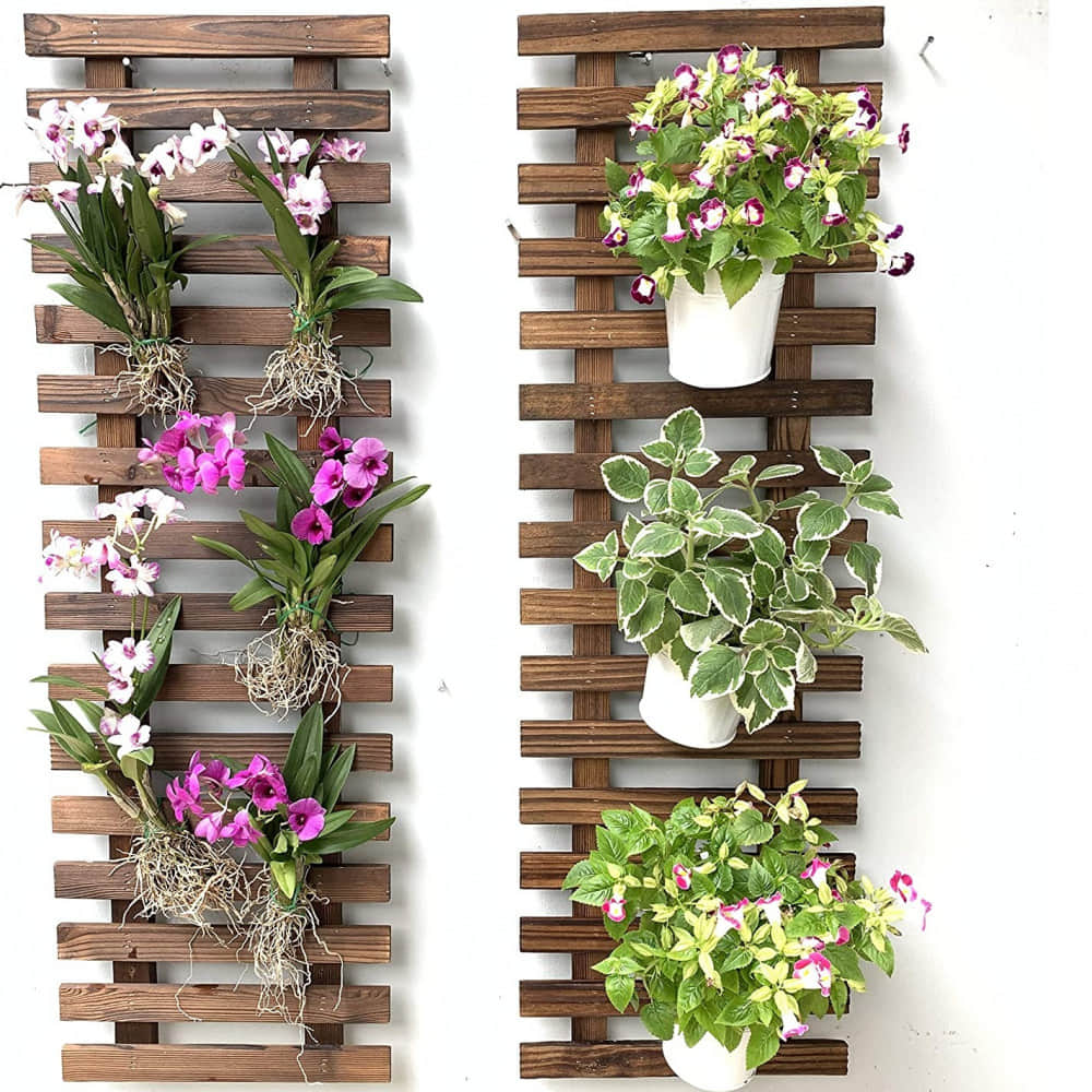 Wooden Hanging Planter (Set of 2) - photo