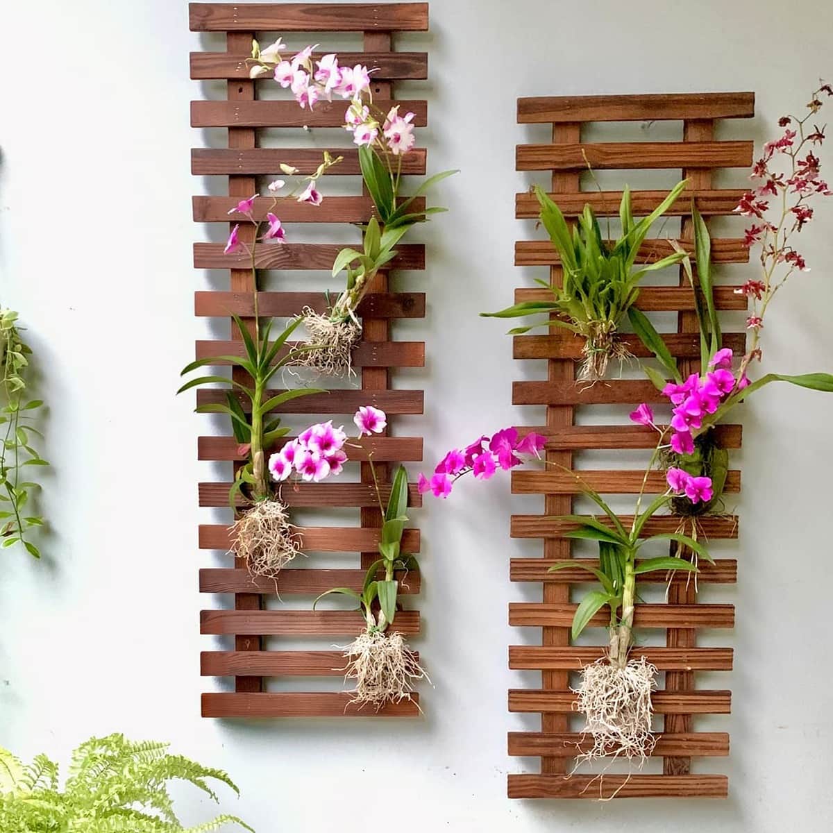 Wooden Hanging Planter (Set of 2) - rear_view