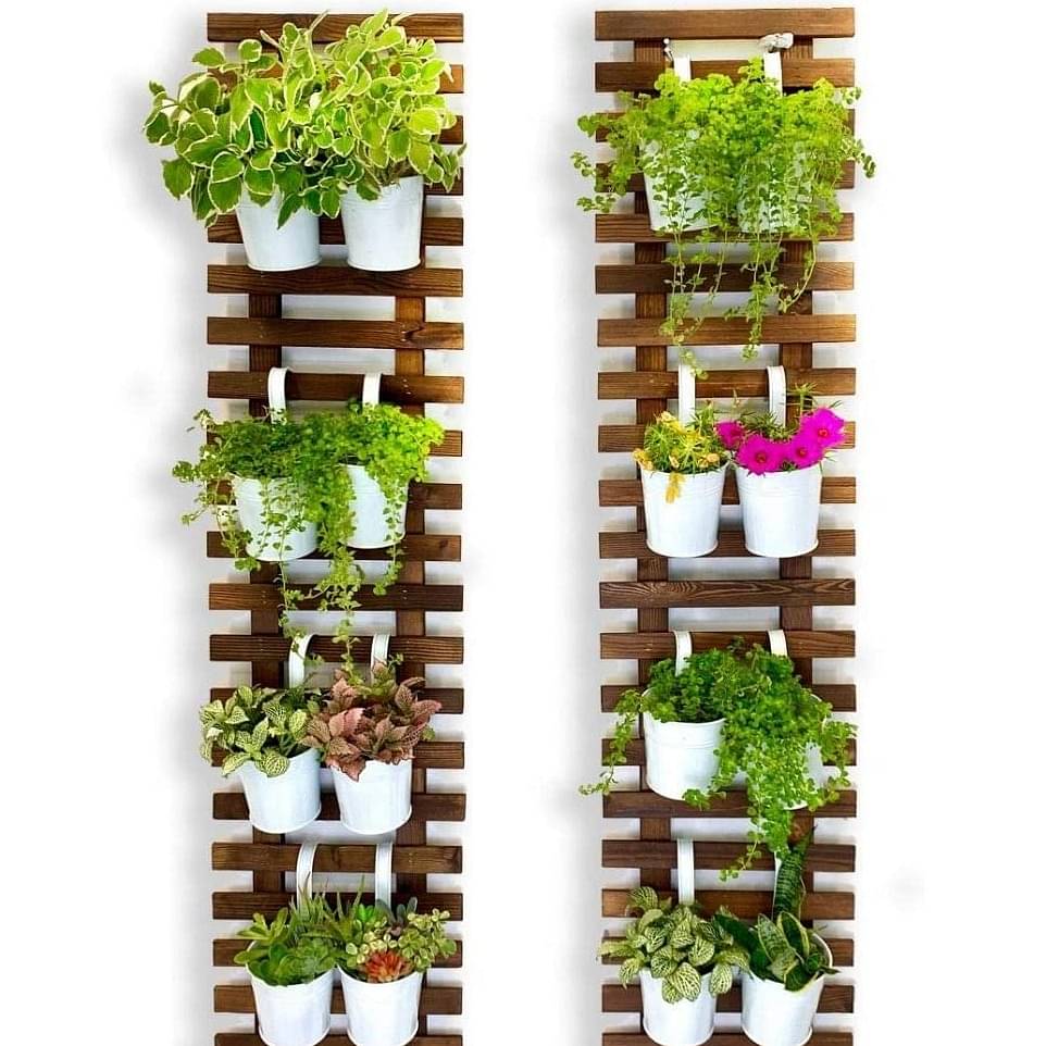 Wooden Hanging Planter (Set of 2)