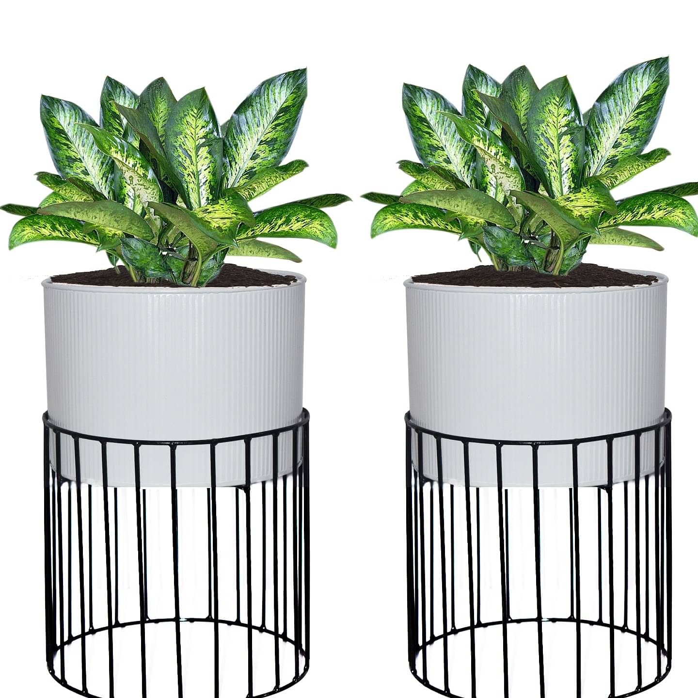 Medium Protracted Metal Wire Based Planter Stand With Metal - Set of 2