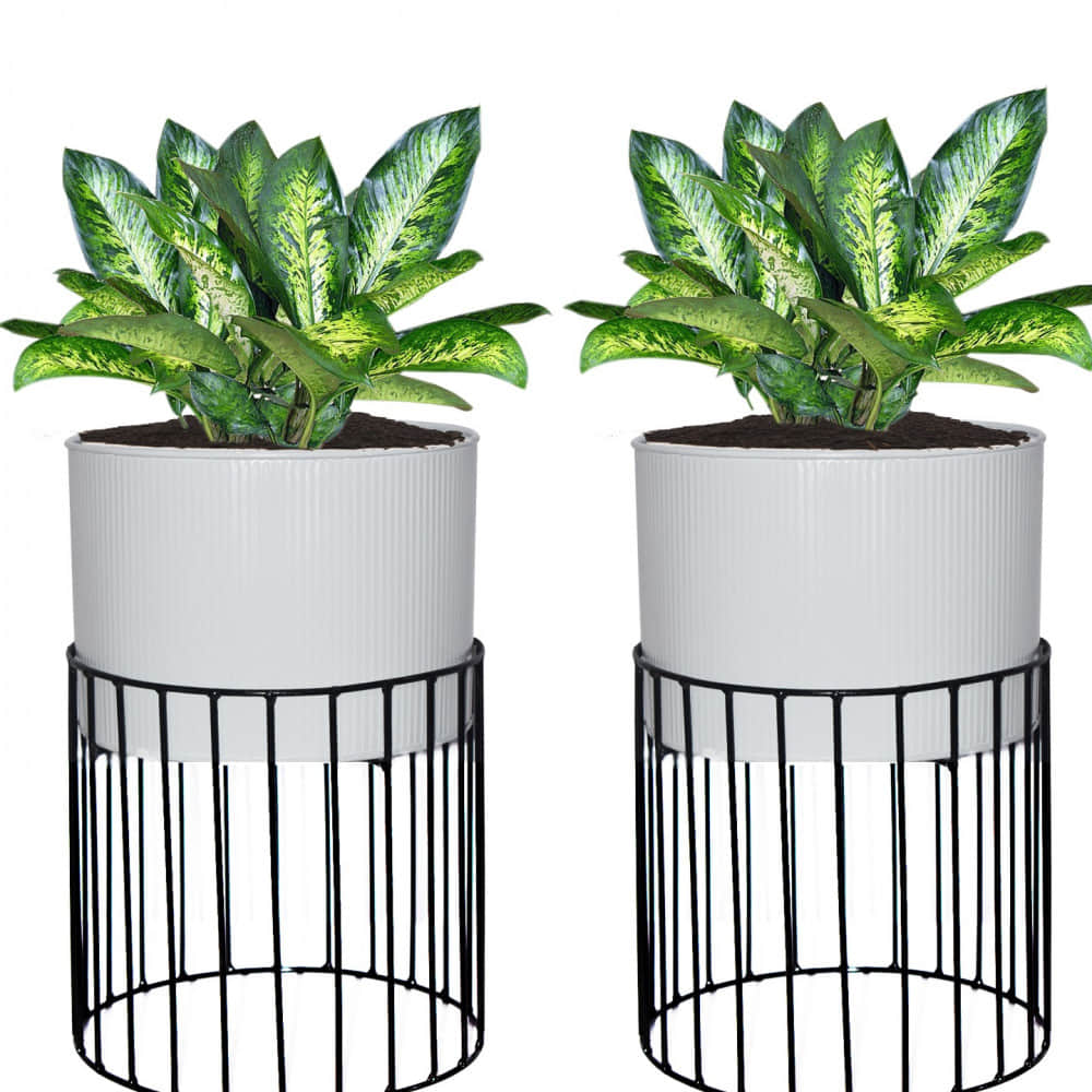 Medium Protracted Metal Wire Based Planter Stand With Metal - Set of 2 - photo
