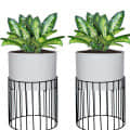 Medium Protracted Metal Wire Based Planter Stand With Metal - Set of 2 - photo