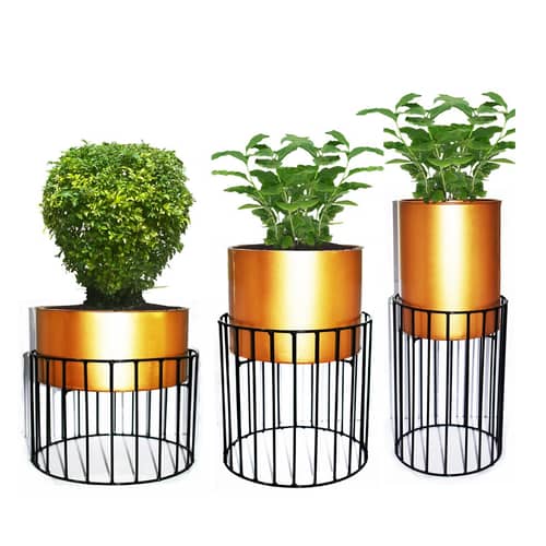 Metal Wire Based Planter Stand With Metal Pot- Set of 3