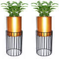 Long Neck Metal Wire Based Planter Stand With Pot- Set of 2 - photo