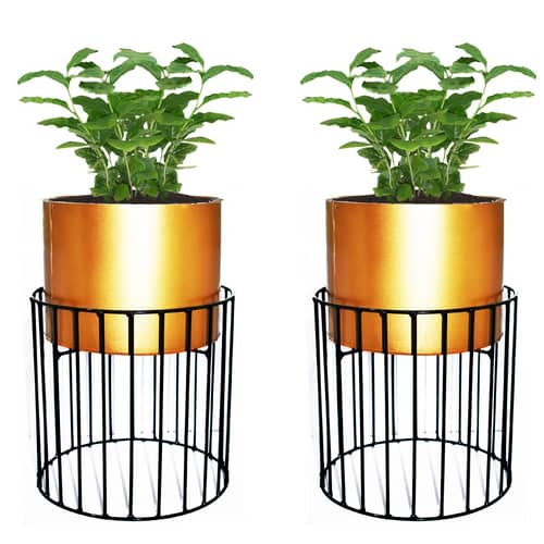 Medium Metal Wire Based Planter Stand With Pot- Set of 2