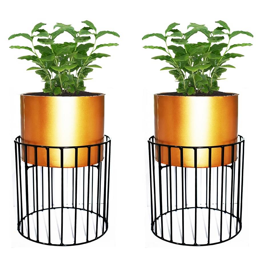 Medium Metal Wire Based Planter Stand With Pot- Set of 2
