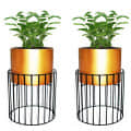 Medium Metal Wire Based Planter Stand With Pot- Set of 2 - photo