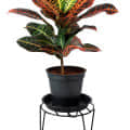 Metal Flower Pot Stand - set of 2 - rear_view
