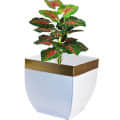 Metal Plant Pot Holder in White  (set of 2) - photo