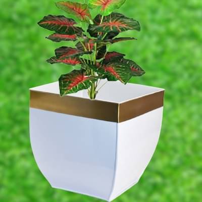 Metal Plant Pot Holder in White  (set of 2)