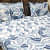 Blue Floral Printed Double Super King Sized Bedsheet With 2 Pillow Covers - front_view