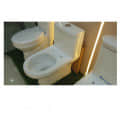 White Ceramic Western Toilet - rear_view