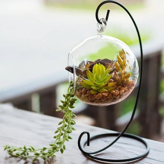 Hanging Glass pot for small Plants