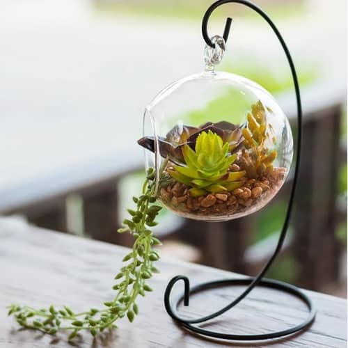 Hanging Glass pot for small Plants