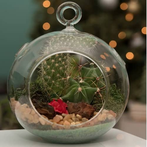 Hanging Planter Crystal Glass Terrarium Ball
