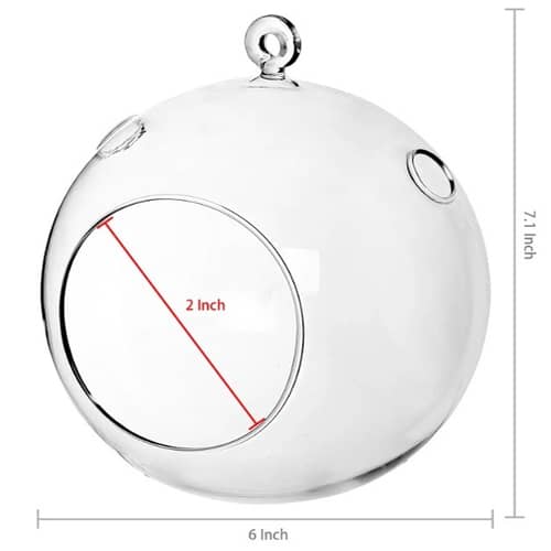 Hanging Planter Crystal Glass Terrarium Ball