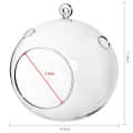 Hanging Planter Crystal Glass Terrarium Ball - right_view