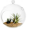 Hanging Planter Crystal Glass Terrarium Ball - bottom_view