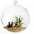 Hanging Planter Crystal Glass Terrarium Ball - bottom_view