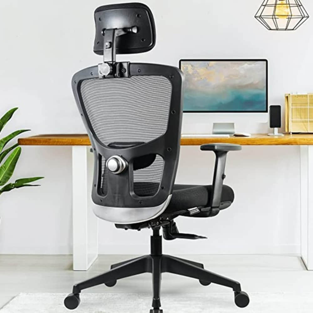 Perth High Back Office Chair - photo