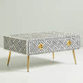 Bone Inlay Optical Design Coffee Table - photo