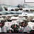 Carnation Queen Size Bedsheet with Pillow Covers & Comforter - photo