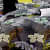 Printed Comforter Set of 4 (1 Double Bedsheet With 2 Pillow Covers & 1 Comforter) - top_view