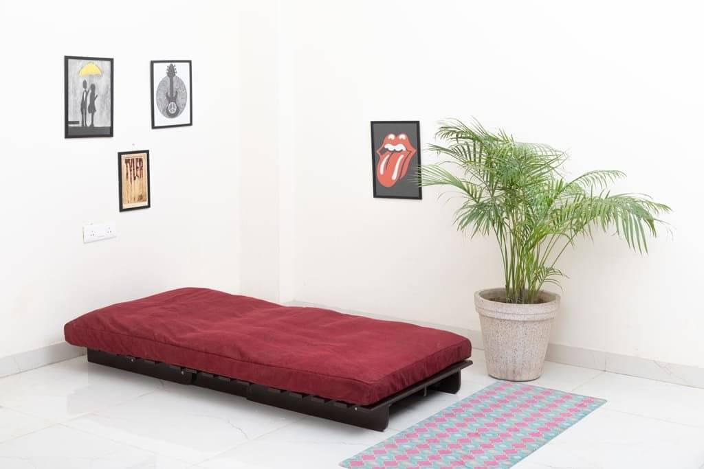 Single Futon Sofa Cum Bed