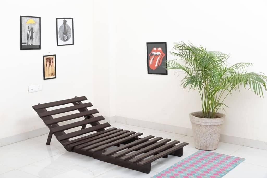 Single Futon Sofa Cum Bed