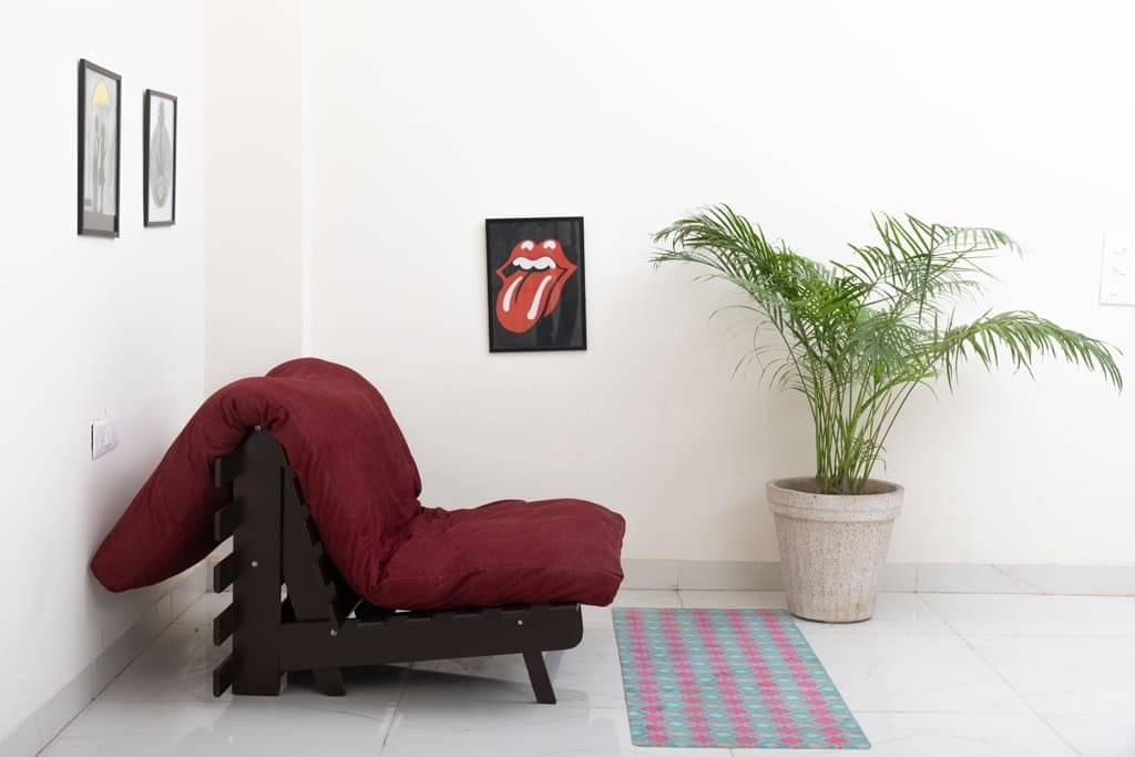 Single Futon Sofa Cum Bed