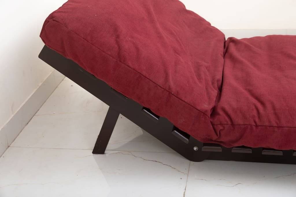Single Futon Sofa Cum Bed