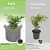 Growing Bag Pots - rear_view