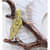 Wrought Iron Bird On Branch Wall Art In White - top_view