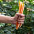 Rice Straw In Orange Color - front_view