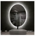 Oval Bathroom Mirror with 3 Colors Lights, LED Mirror for Wall Mirror (18*48 inch) - top_view