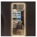 Square Bathroom Mirror with 3 Colors Lights, LED Mirror for Wall Mirror (20*48 inch) - front_view