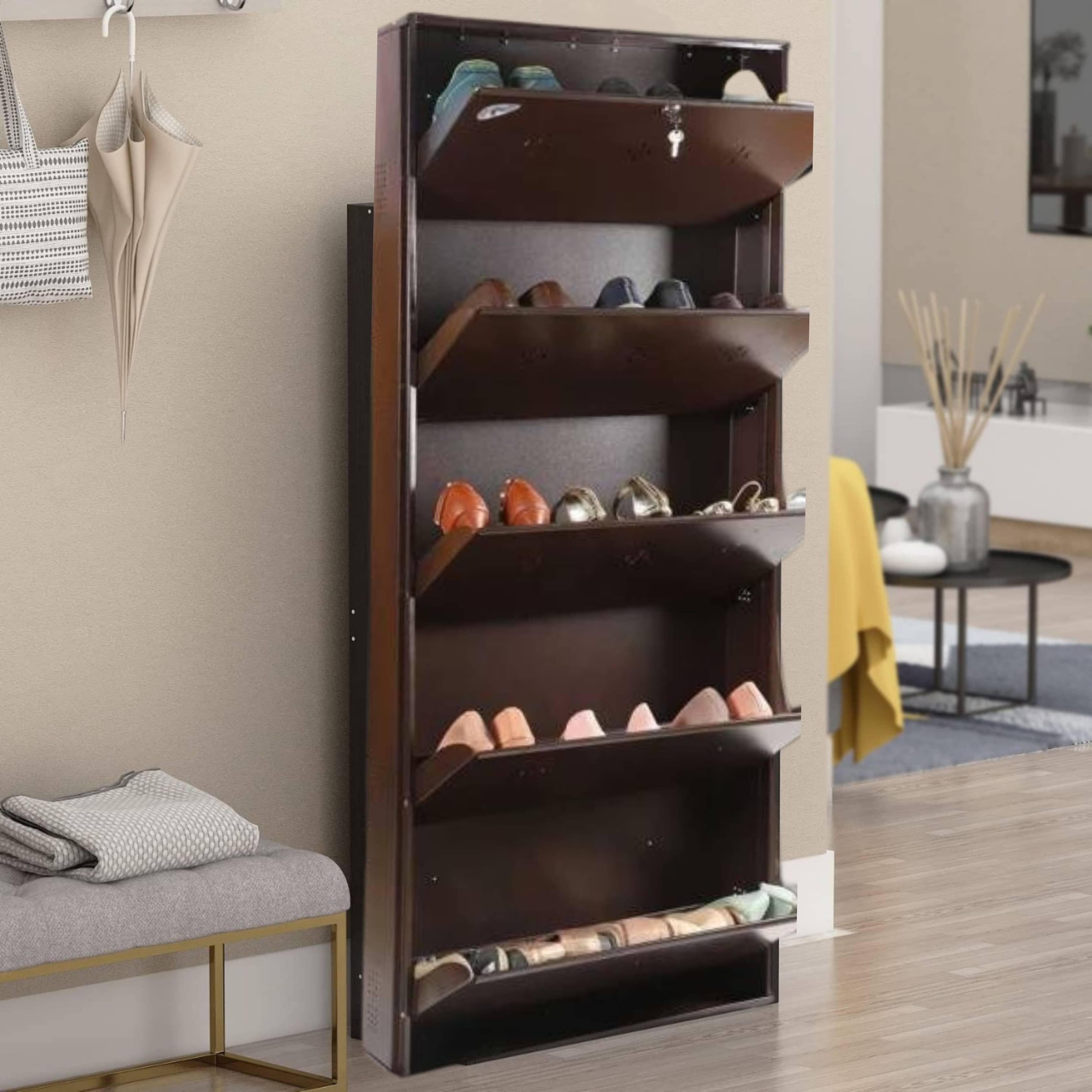 Bergen Wall Mounted Metallic Shoe Rack