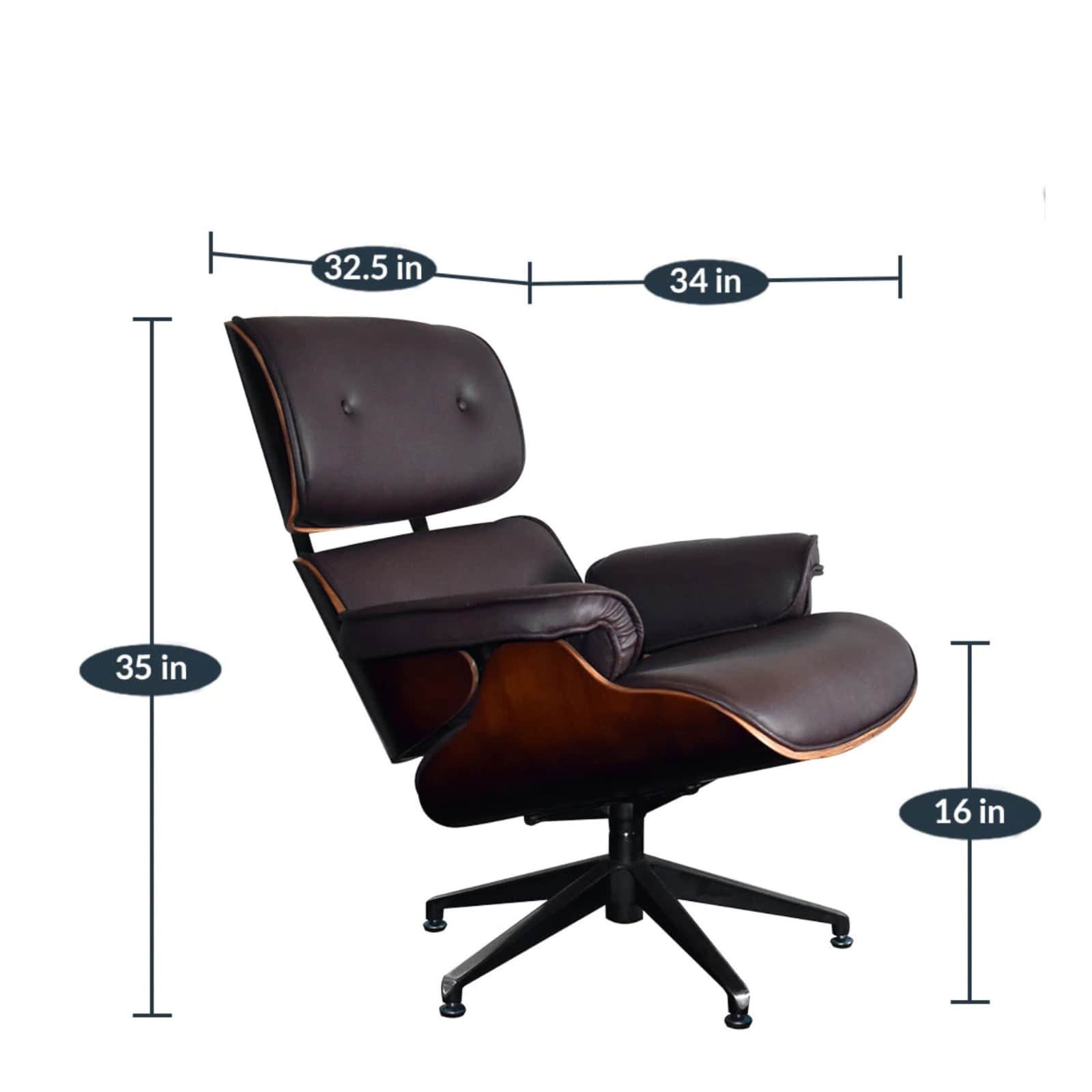 Shark Tank @2026 Iconic Lounge Chair - top_view