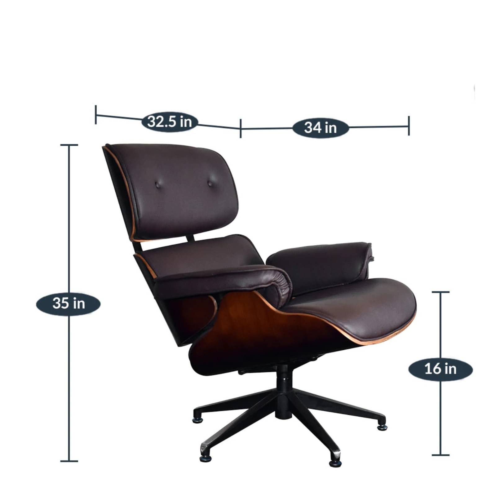 Shark Tank @2025 Iconic Lounge Chair