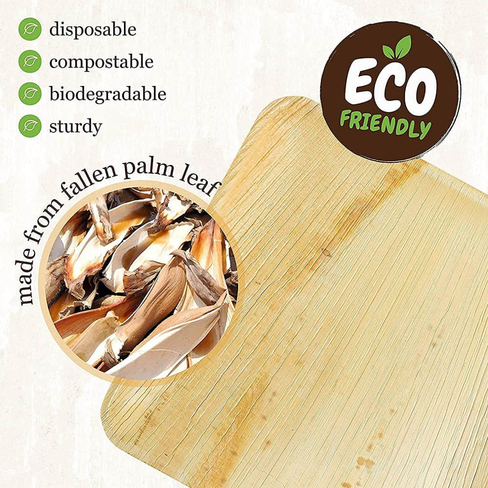 Bio Degradable Disposable Plates In 7 Inch - photo